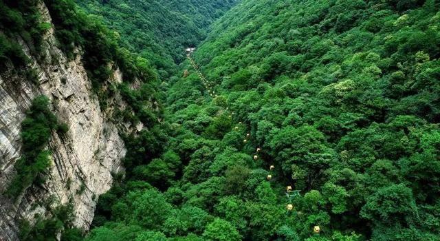 沪江开心词场